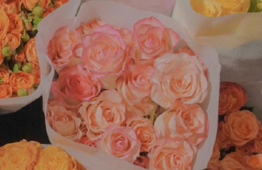 QQ男生温柔个性签名