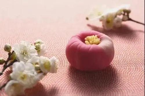 关于生活应该精致的句子文案