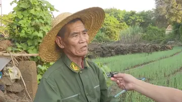 赞劳动的汗水的句子文案