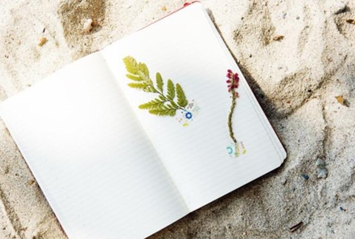 开朗阳光的句子文案