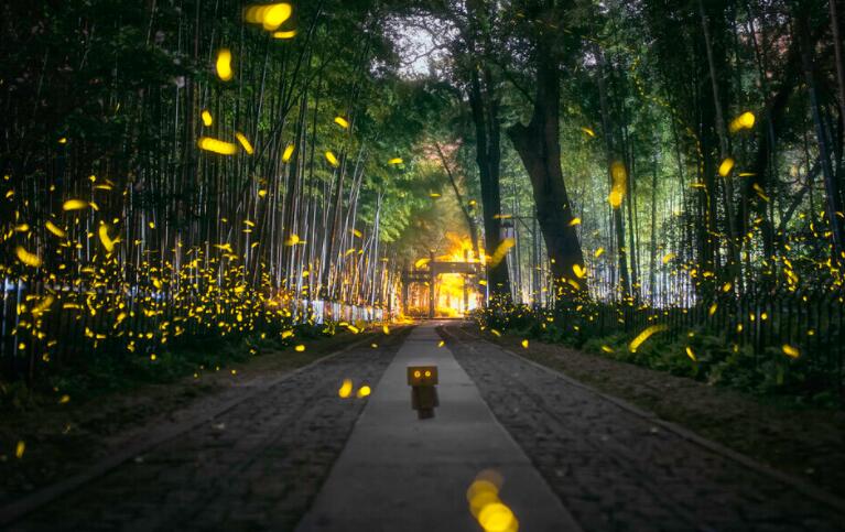 珍惜生命感恩生活的句子文案