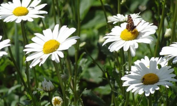 洒脱豪放的哲理句子文案