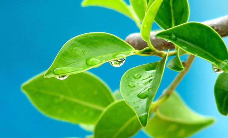 不要和别人诉苦的语录文案