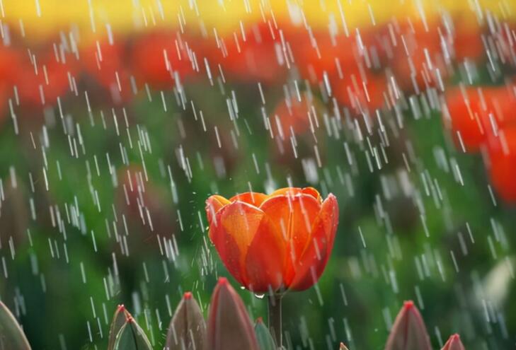 下雨天的心情说说文案