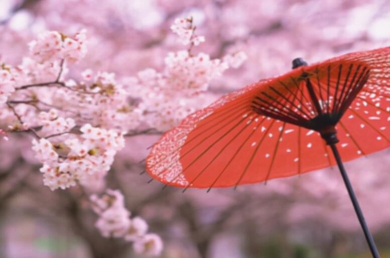 女人幸福的经典语录文案