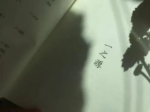 有竟字的句子文案