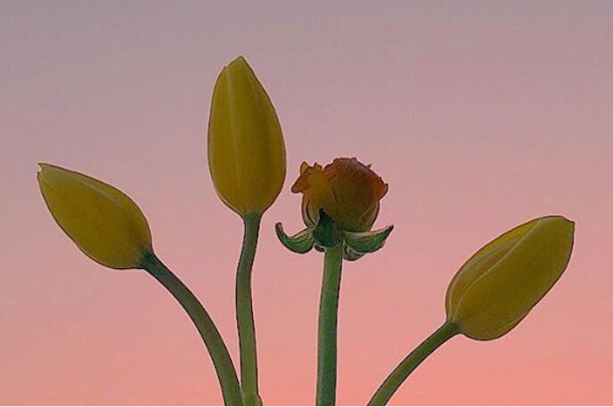 简短早上问好句文案