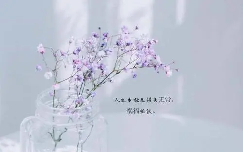 表达新的一天开始的句子文案