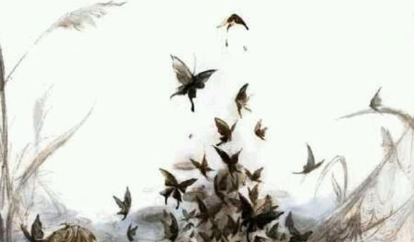 描写心境淡然的诗句文案