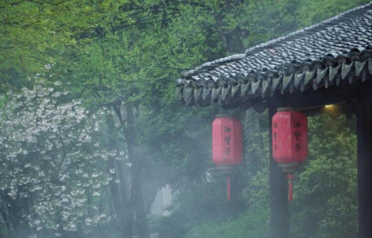 雨后的风景优美句子文案