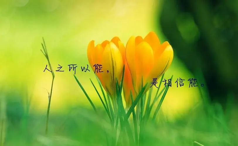 2024最励志的句子文案图片