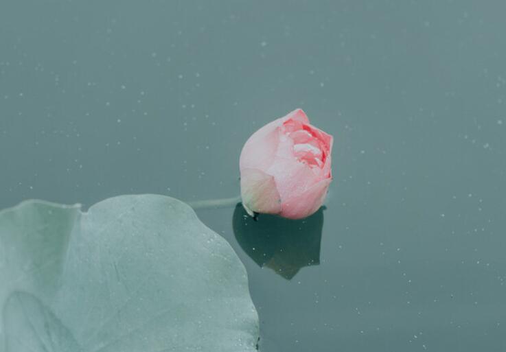 关于自我反省的诗句文案