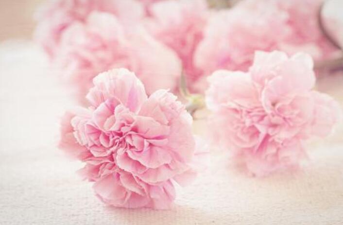 祝福老师生日快乐的祝福语