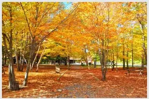 形容很有收获的诗句文案