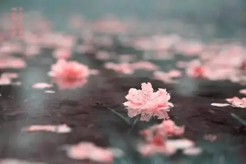 古代绝美诗句文案