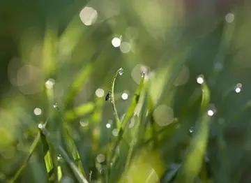 感悟成熟的语录文案