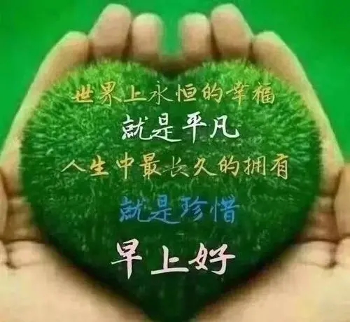 感谢朋友早安短句