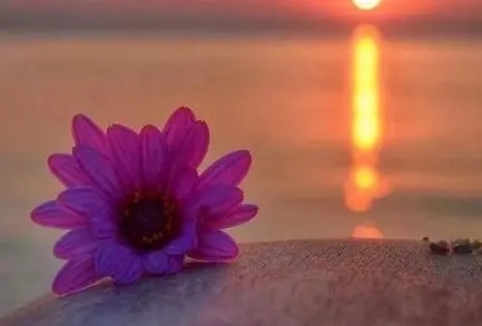 让自己沉淀下来的短句