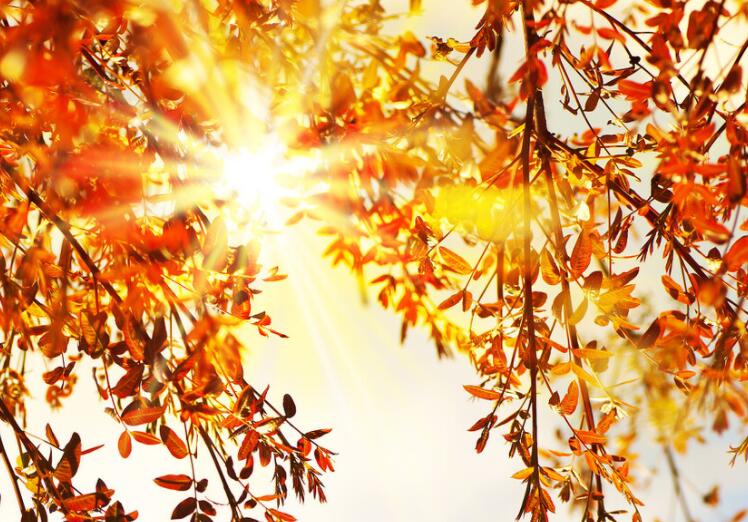 赞美努力拼搏的句子文案