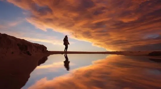 很污很现实的社会句子文案