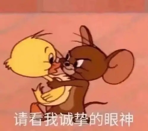 过生日发的皮句子文案