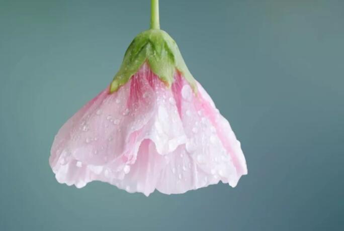 好句文案20字左右优美100句