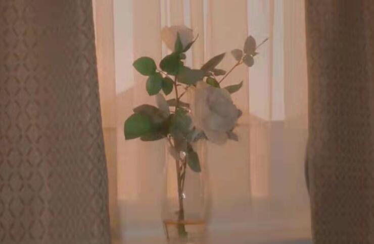 暗恋一个人的短句说说文案