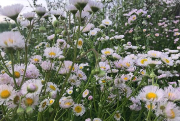 悲伤的话简短一些