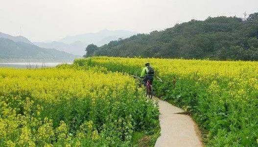 在路上的文案句子