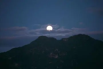 形容夜色的句子文案