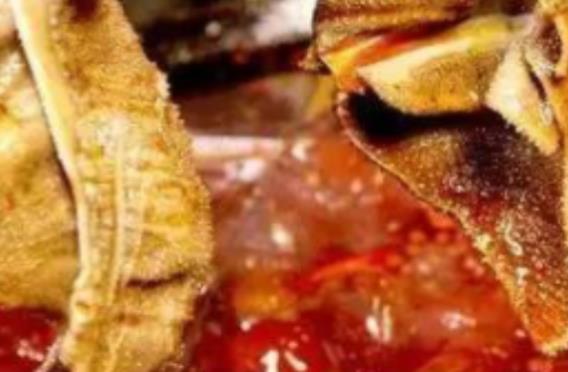 火锅感慨人生的句子文案