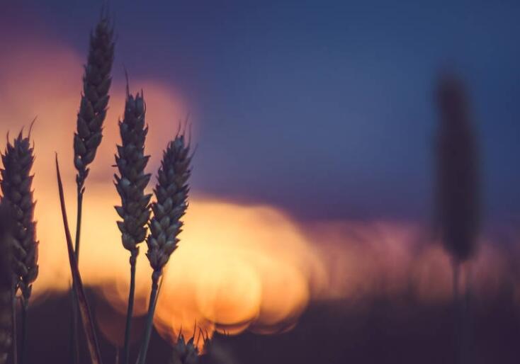 八字酷到渣的句子文案