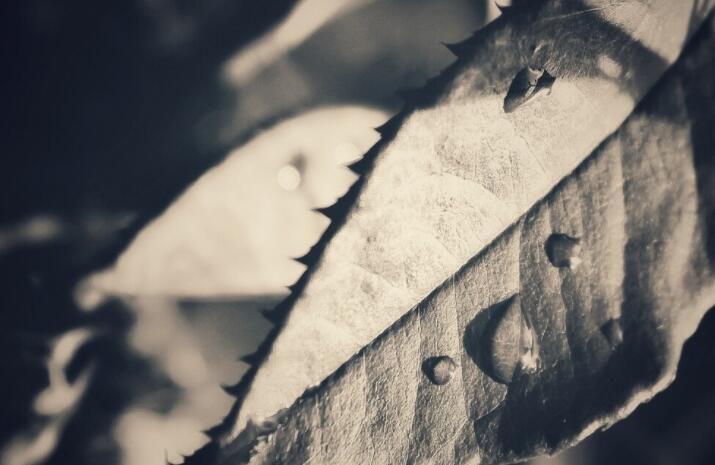 最近很压抑的说说文案