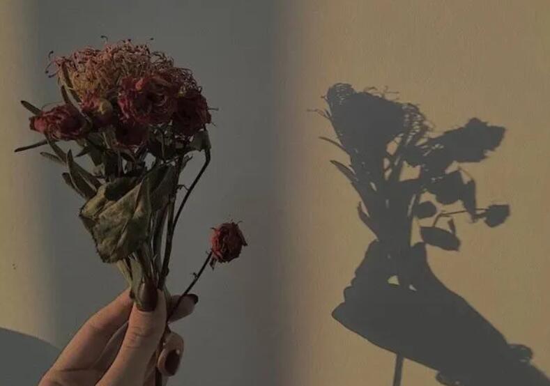 表达遗憾的诗词