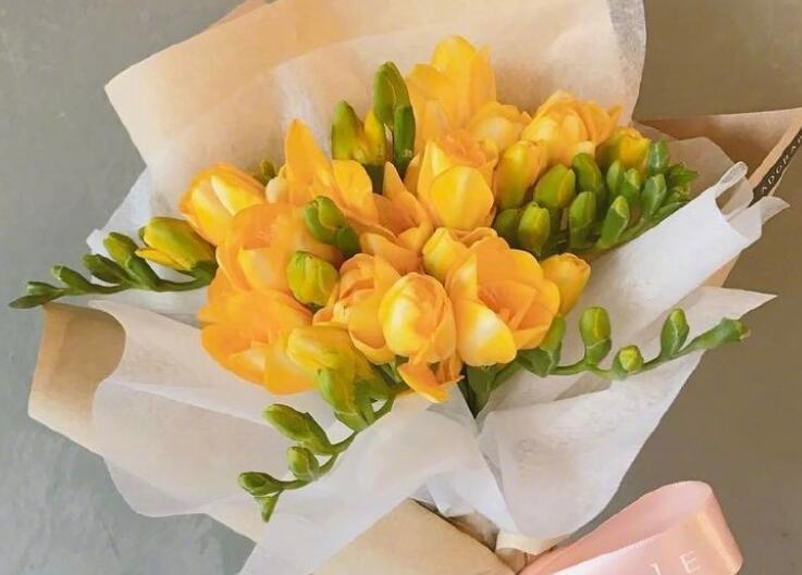 发早上好的句子文案