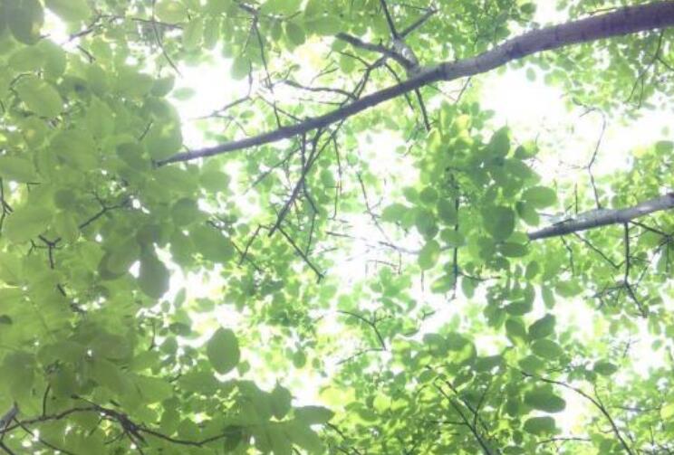 春季养生的短句