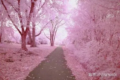 描写仙气的美句