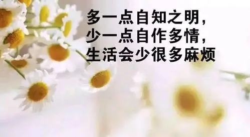 低调的霸气句子文案