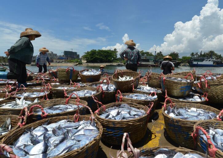 形容一个人目光短浅的话语