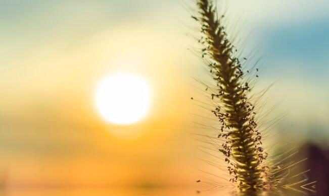 看码头的心情句子文案