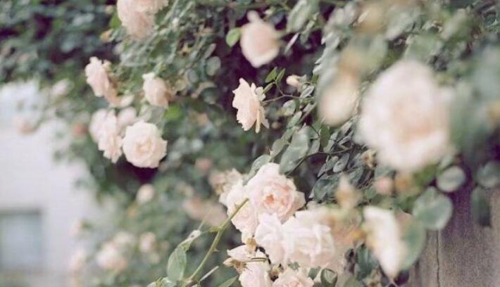 对心理阴暗的人说的句子文案