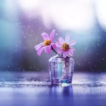 暖心的句子文案发朋友圈