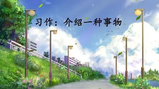 介绍一种事物小练笔50字