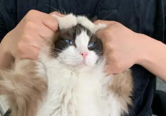 活在美颜相机里搞笑的说说文案