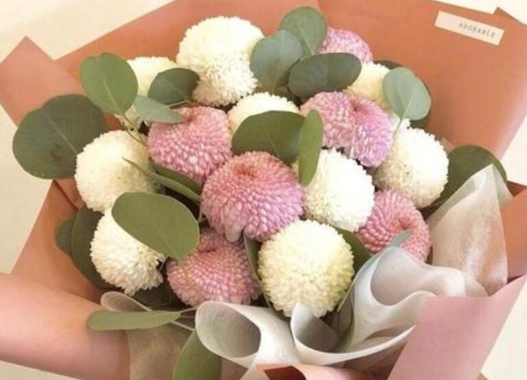 教书节简单祝福语怎么说