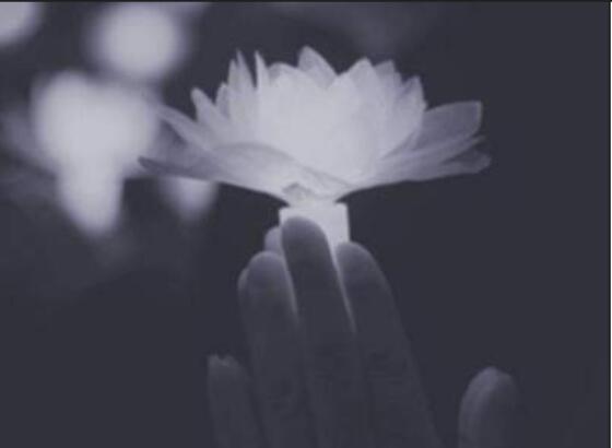 安慰节哀顺变的短句