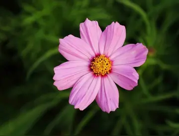 2024幽默开心祝福的简短句子文案