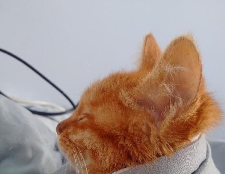 经历生死后的感悟说说文案