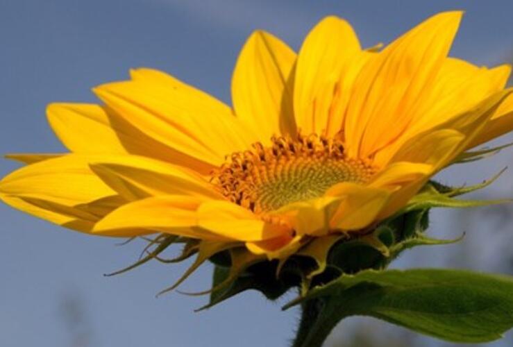 2024抖音容易火短句