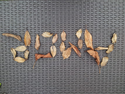 真心爱一个女孩子的句子文案